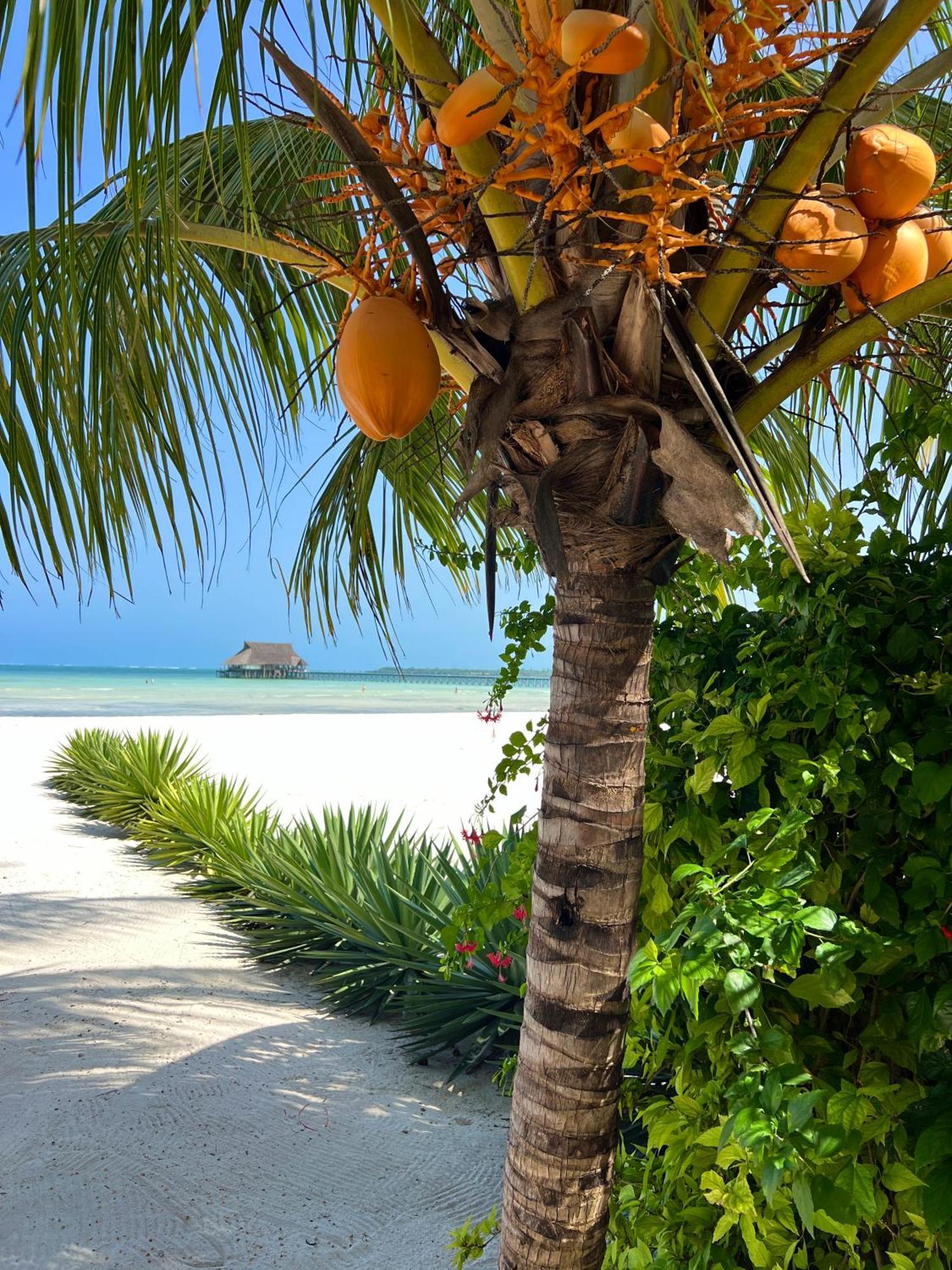 Karibu Hotell 5*